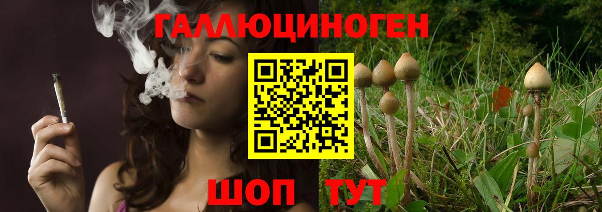 Галлюциногенные грибы ЛСД Калуга