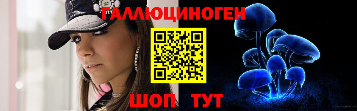 Калуга  Псилоцибиновые грибы Cubensis  Вход с VPN 